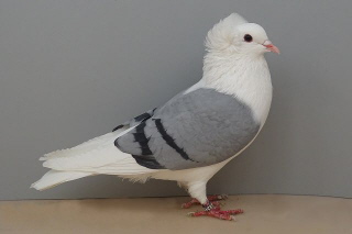 2023 Leipzig 2023 Leipzig