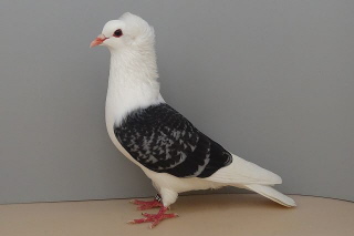 2023 Leipzig 2023 Leipzig